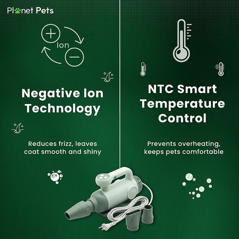 Planet Pets Pet Blow Dryer for Dogs & Cats with 3 Nozzle Attachments | 3-Speed Portable Grooming Dryer
