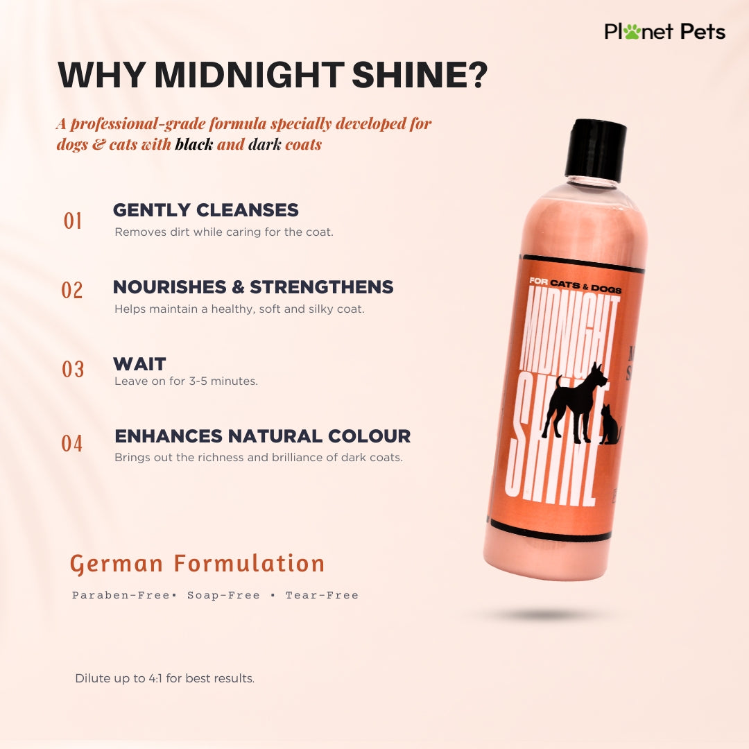 Why Midnight Shine: gently cleanses, nourishes and enhances the natural colour of dark coats – German formulation