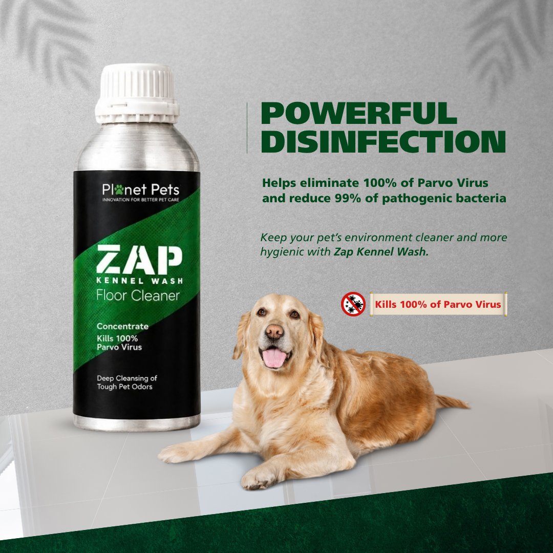Zap Kennel Wash kennel disinfectant that kills Parvo virus, with a golden retriever