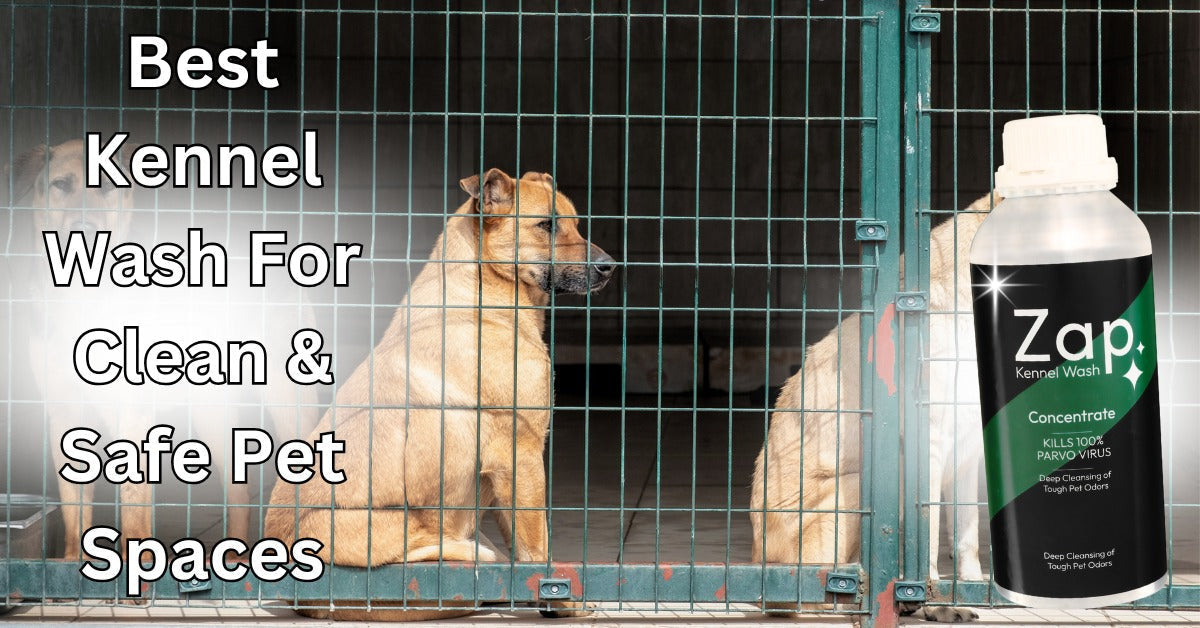 Kennel wash cleaning solution for dogs