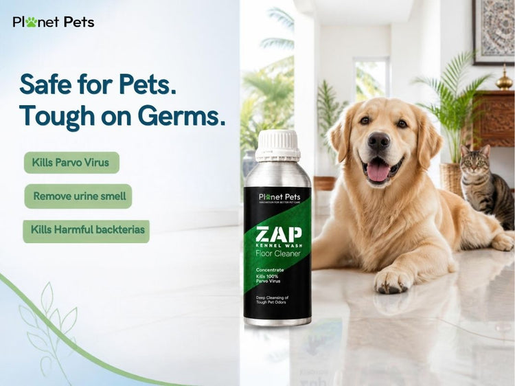 Pet Friendly Floor Cleaner & Kennel Wash