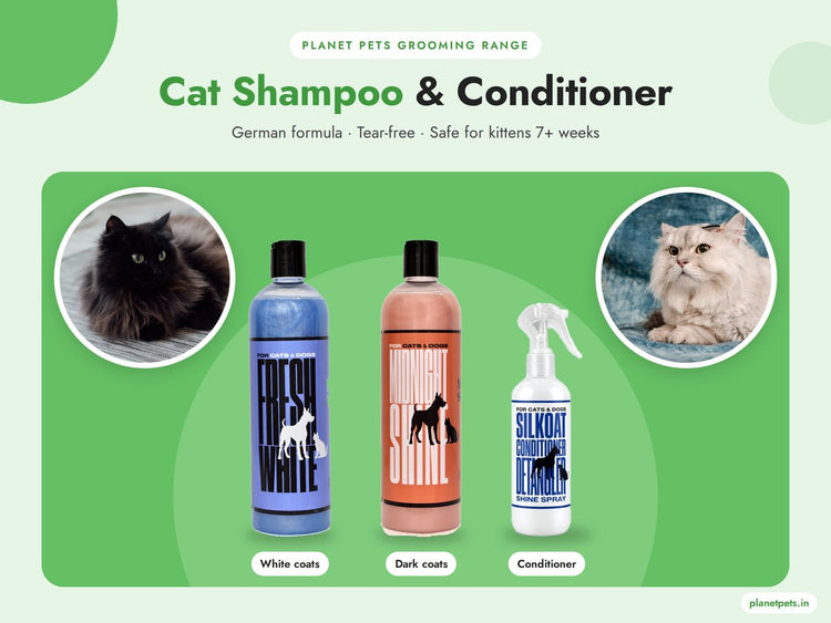 Cat Shampoo