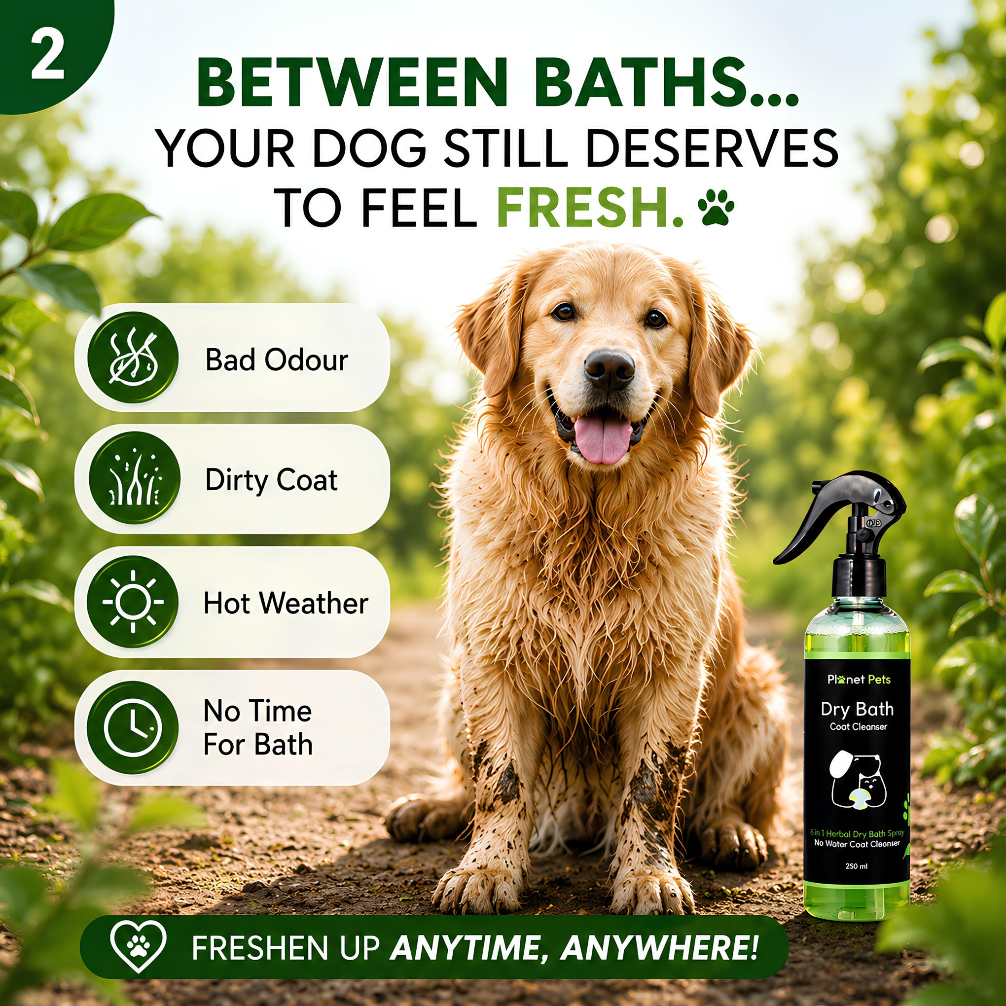 Planet Pets 6-in-1 Herbal Dry Bath Spray for Dogs | Waterless Grooming | 250ml