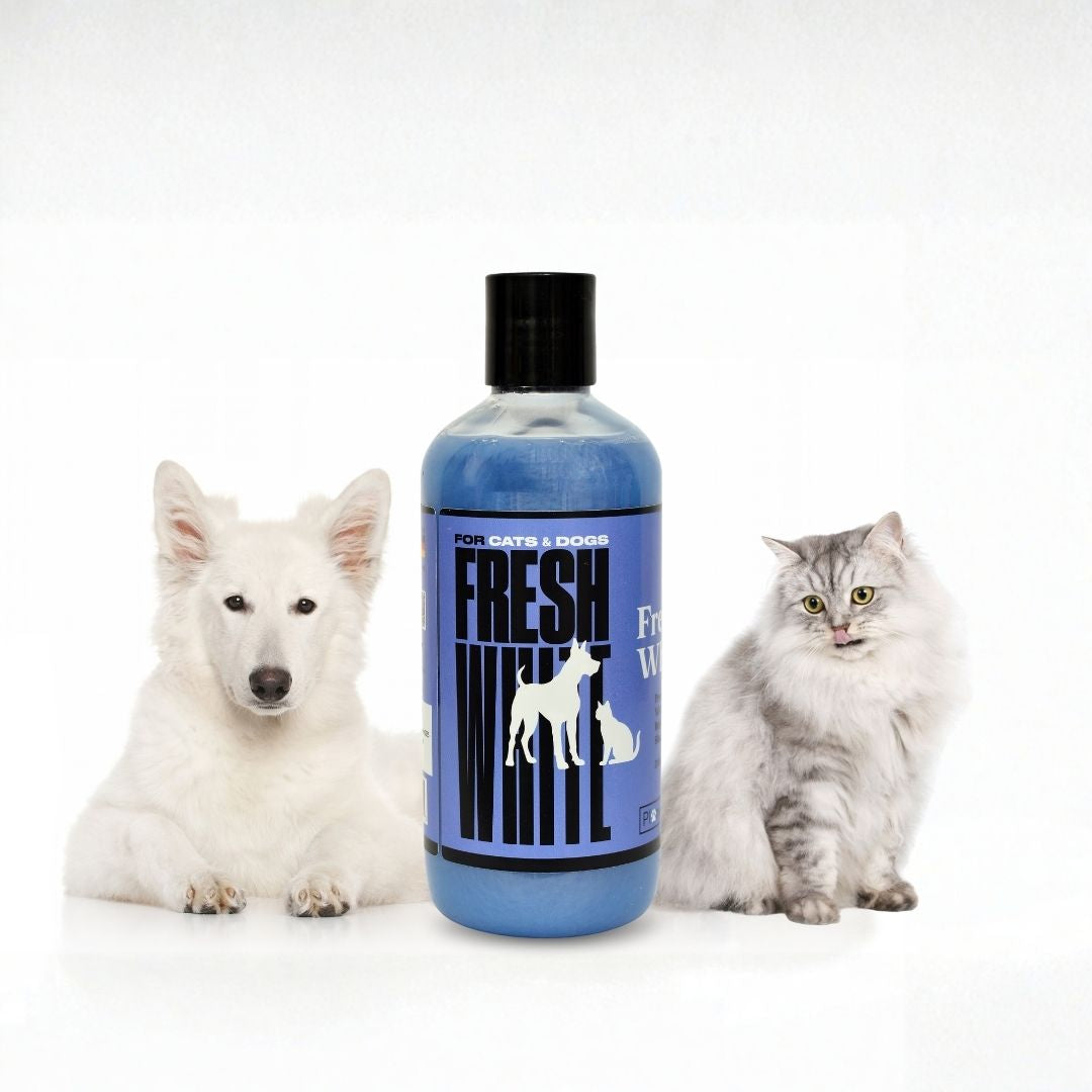 Fresh white dogs and cats whitening shampoo 300 ml bottle 