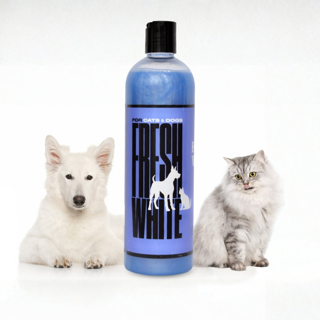 Fresh White dog whitening shampoo 500 ml bottle