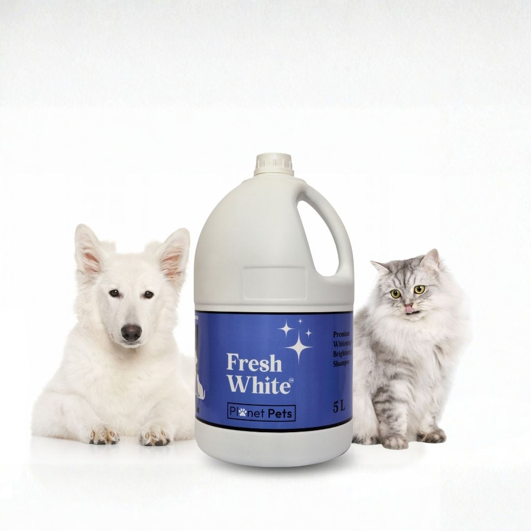 Fresh White whitening shampoo 5L for groomers
