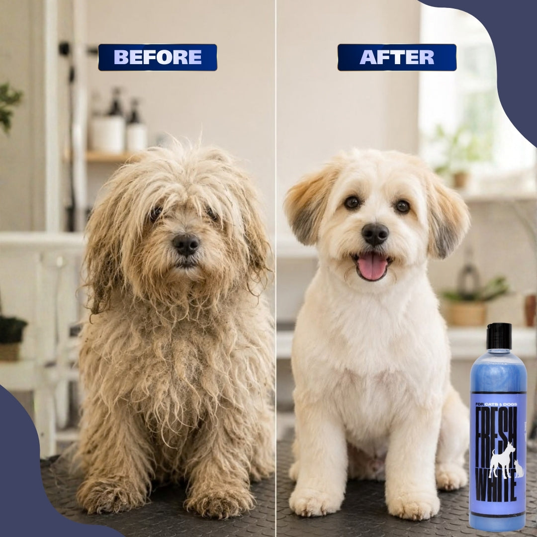 Fresh White whitening shampoo for cats with white coat