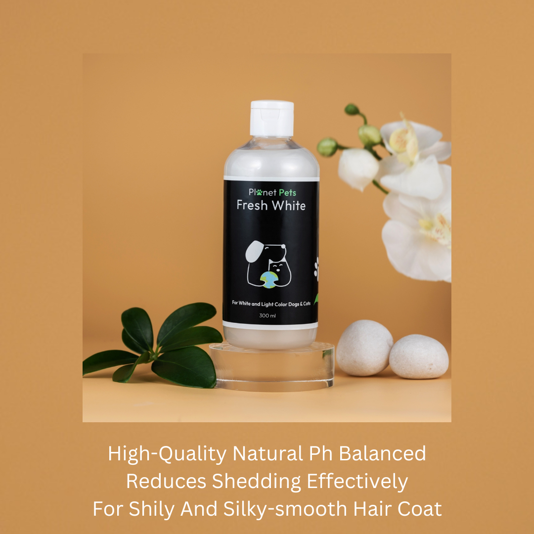 Fresh White Shampoo (300)ML