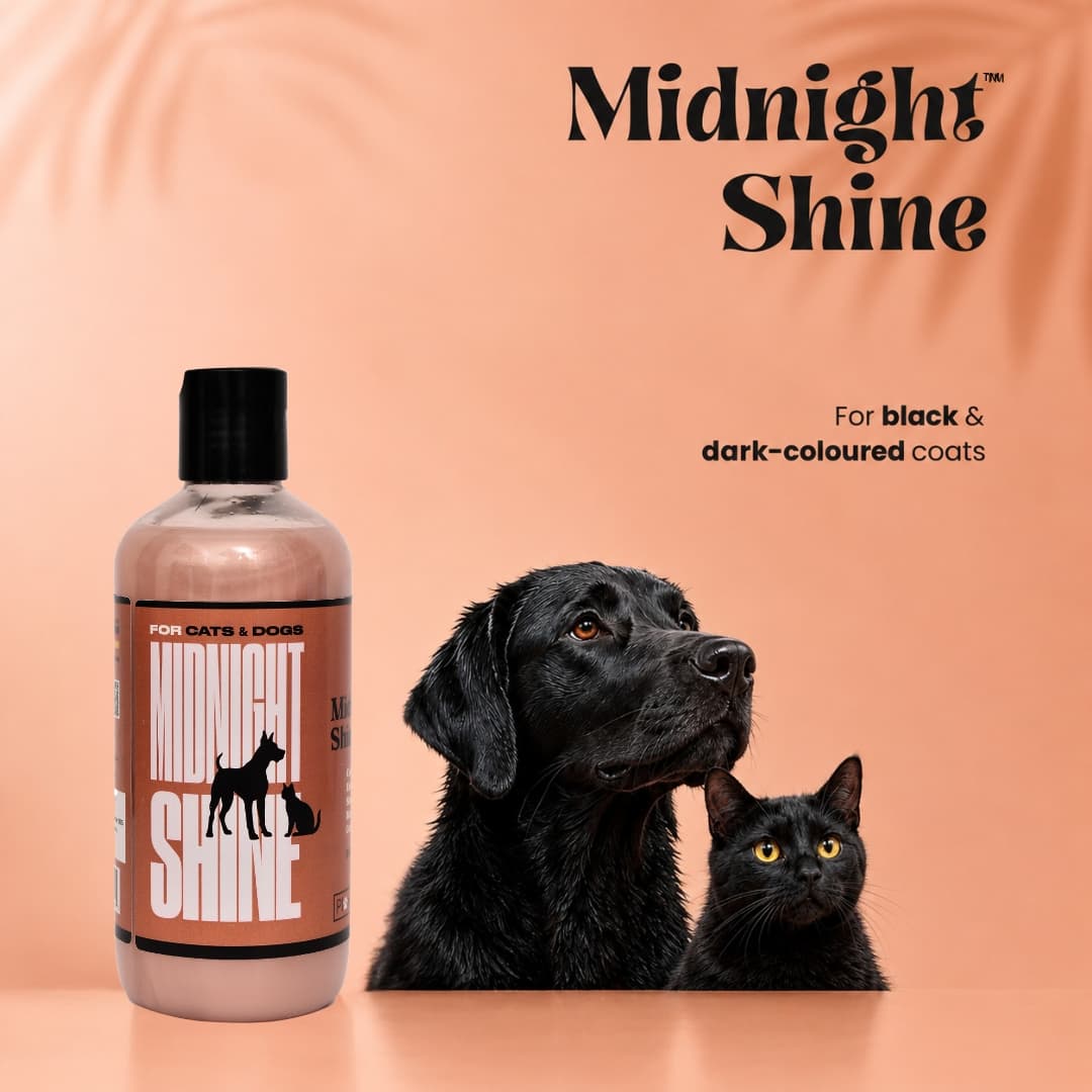Midnight Shine™ Colour Enhancing Shampoo for Dogs & Cats