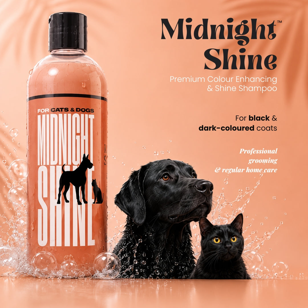 Midnight Shine™ Colour Enhancing Shampoo for Dogs & Cats – 500ml
