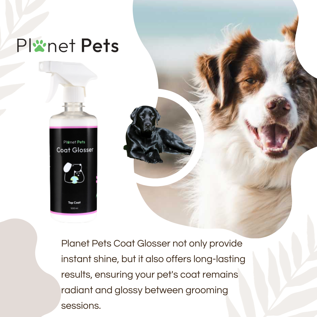 Planet Pets Coat Glosser