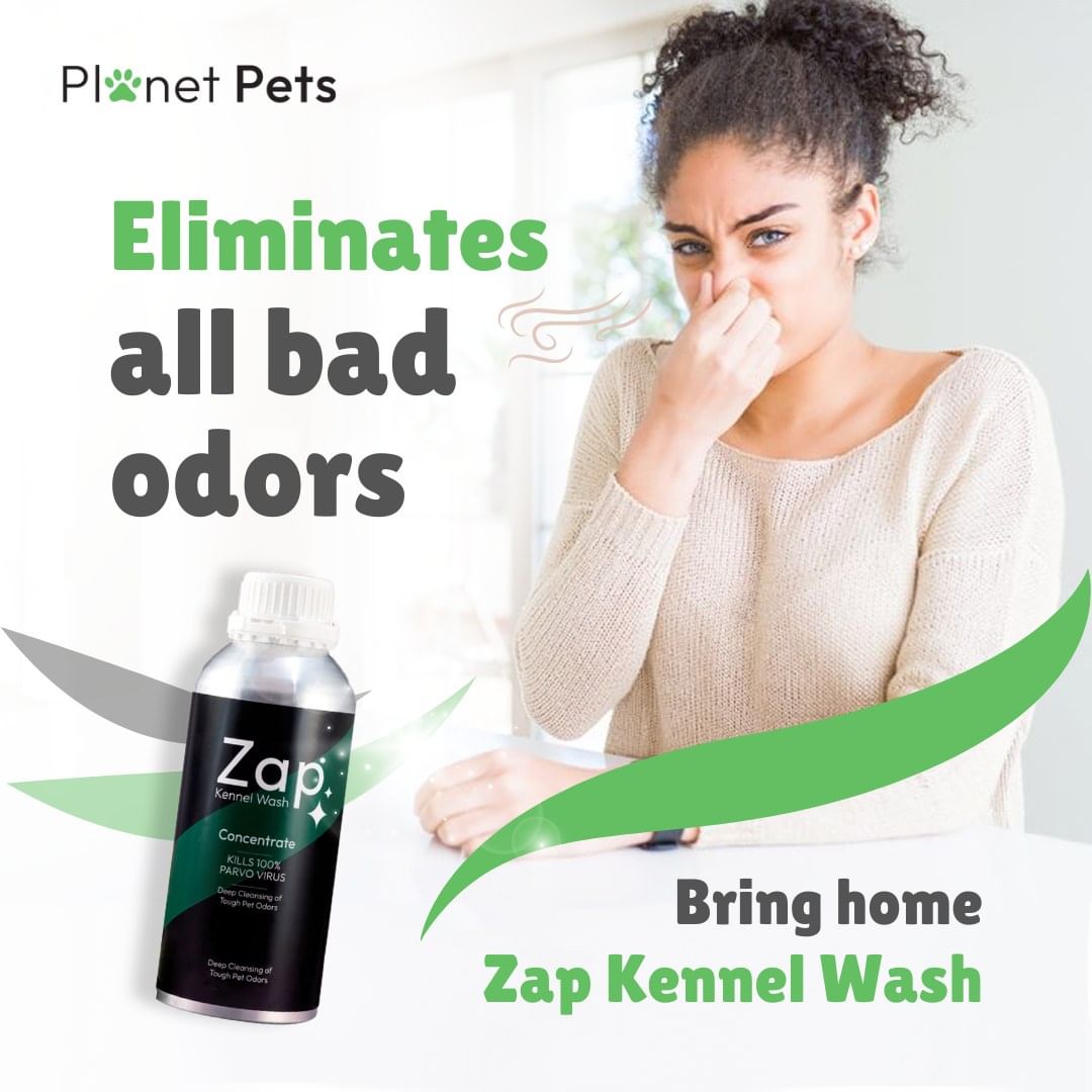 Petcare Combo