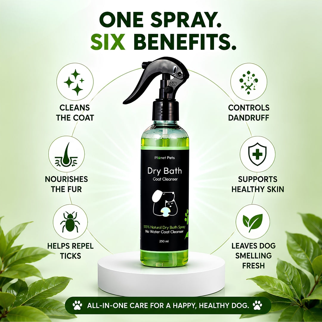 Petcare Zap Kennel wash and Dry Bath Combo