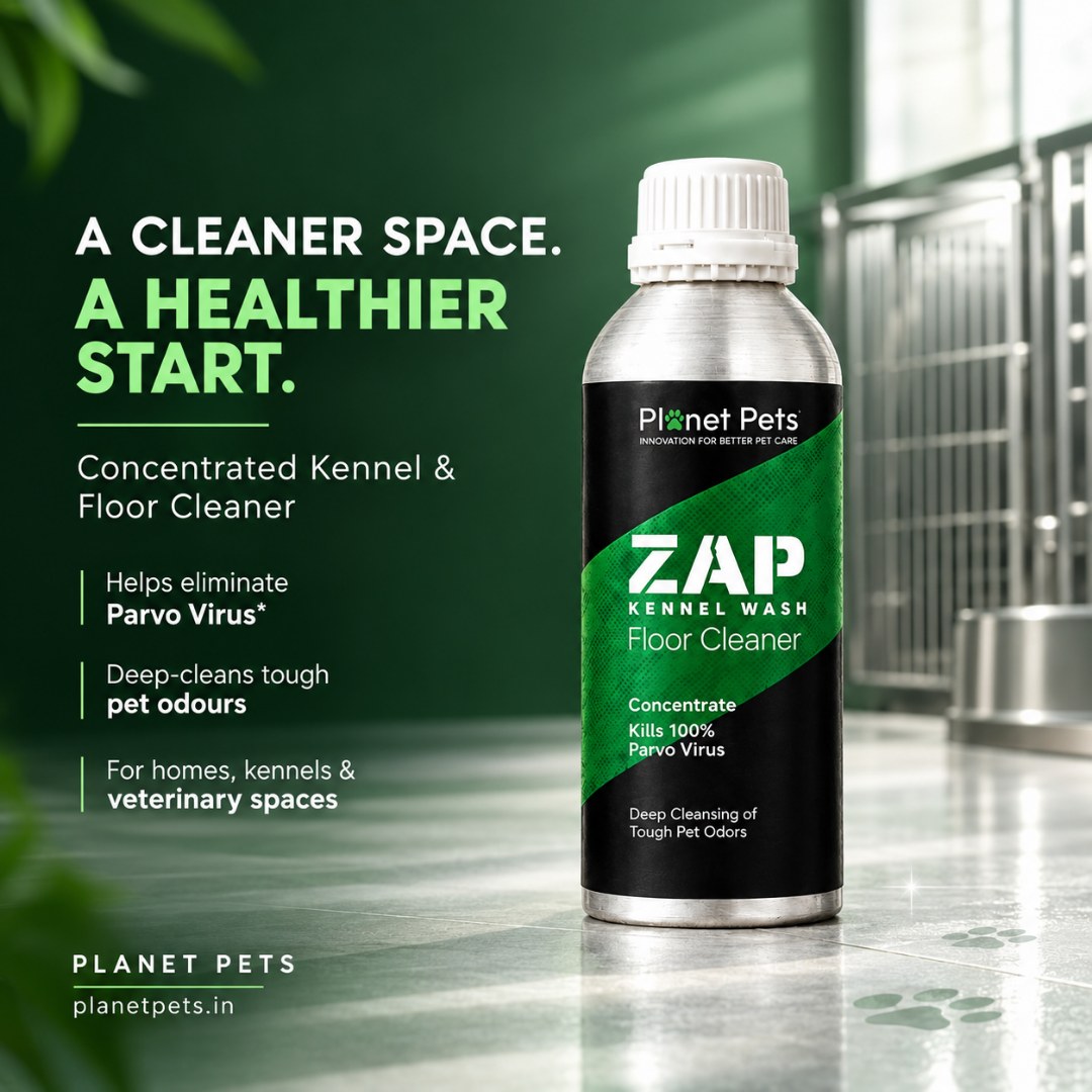 Zap Kennel Wash concentrated kennel and floor cleaner in a clean dog kennel