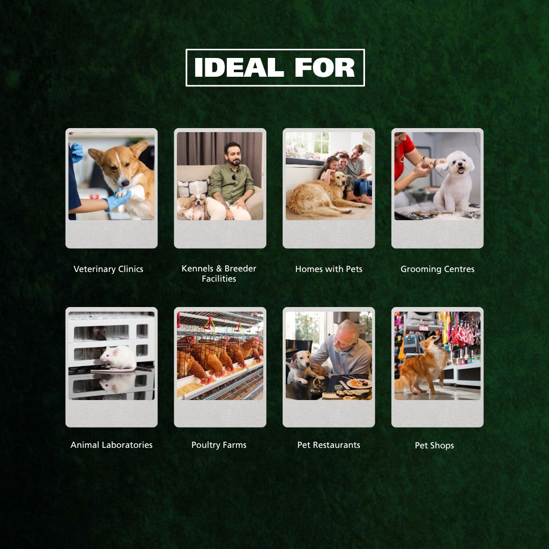 Zap Kennel Wash for vet clinics, kennels, breeders, pet homes, grooming centres and pet shops