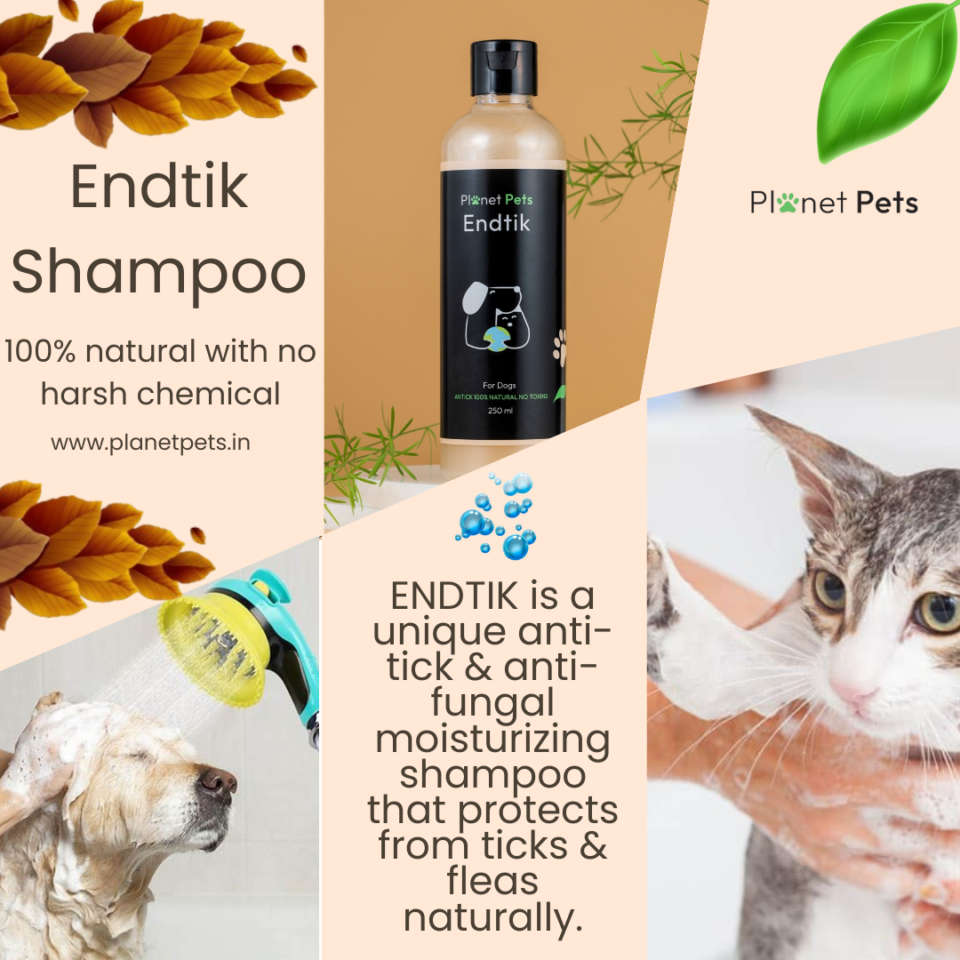 pet shampoo