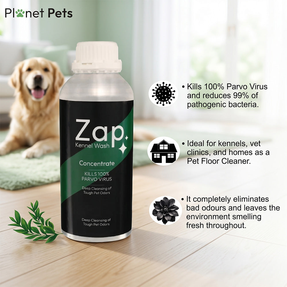 Zap Kennel wash 