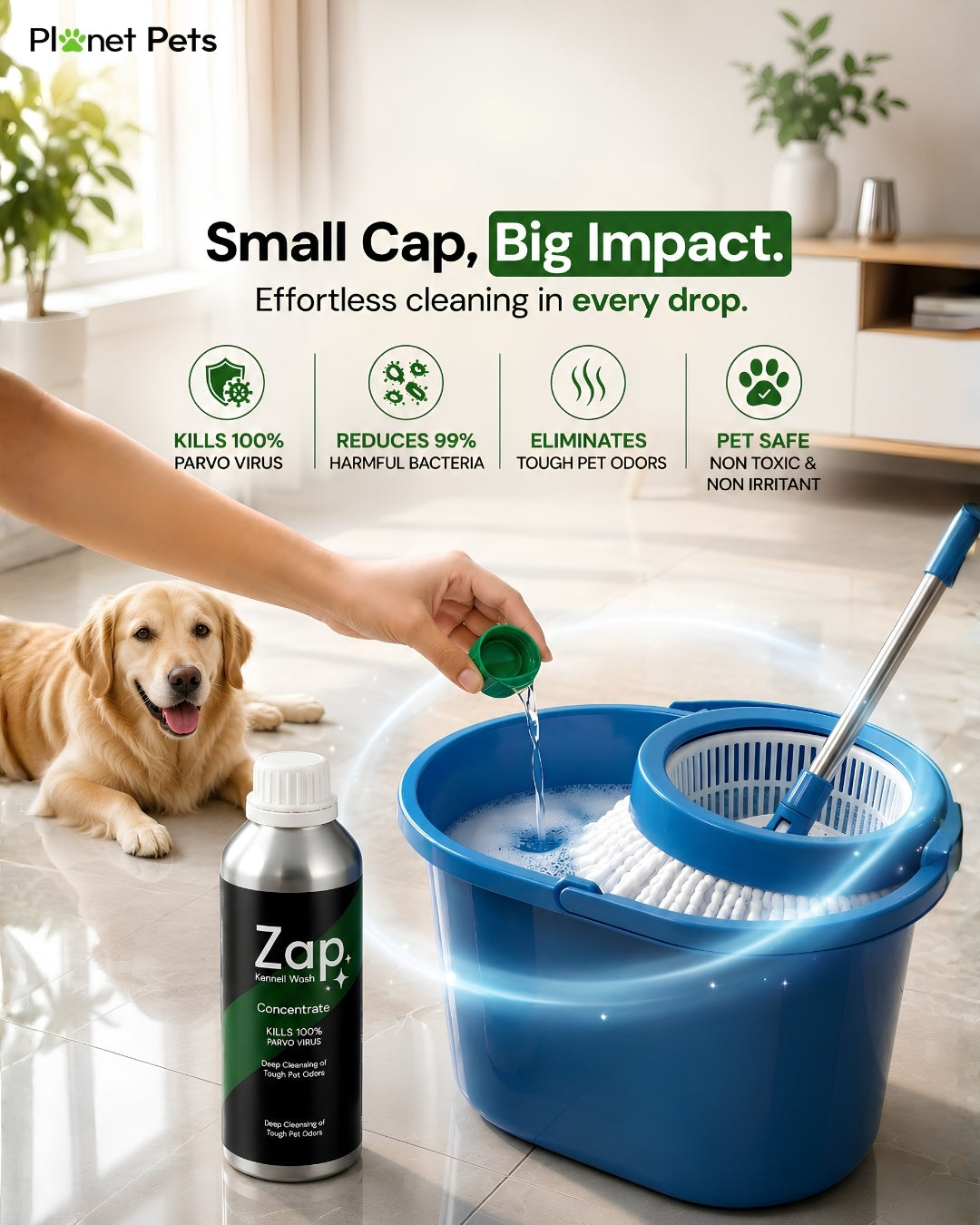 dog floor cleaner